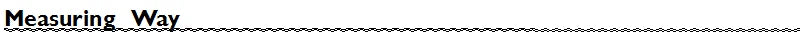 Women Canvas Shoes Casual Vulcanize Sneakers Breathable Sport Walking Running