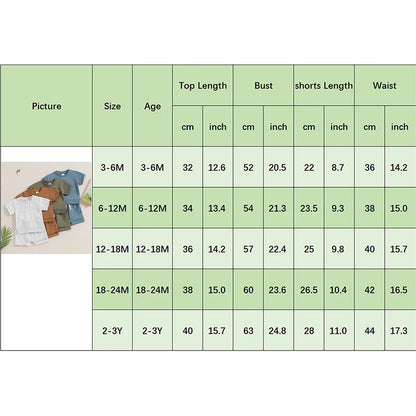 2Pcs Toddler Baby Boy Summer Clothes Set